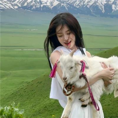 云端美人封面